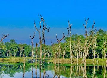 nepal/chitwan/attraction/baatuli-pokhari