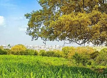 jordan/umm-qais/attraction/mntqh-alawj-ibdr-almanarh