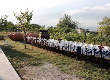 georgia/mtskheta-mtianeti/attraction/iago-s-winery