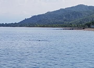 timor-leste/atauro-island/attraction/beloi-outer-reef