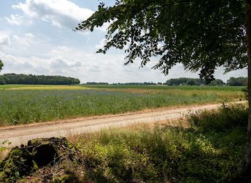 netherlands/achterhoek/attraction/bergherbos