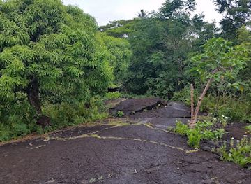 samoa/savai-i/attraction/virgins-grave