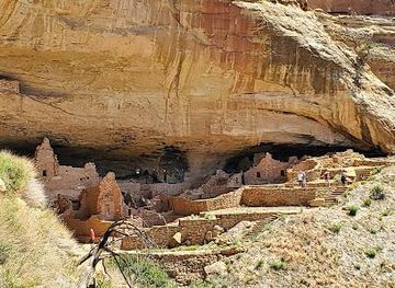 colorado/mesa-verde-national-park/attraction/wetherill-mesa-information