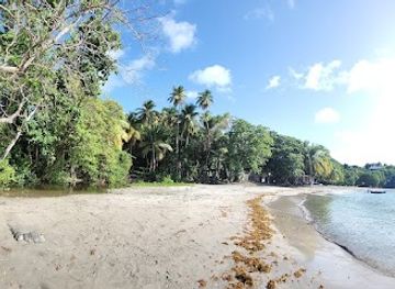 grenada/gouyave/attraction/david-beach-daavee-pronunciation