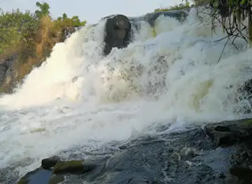 Cameroon RainBow Tour & Travels