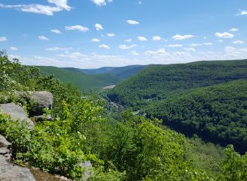 pennsylvania/lower-susquehanna-valley/attraction/mcintyre-wild-area