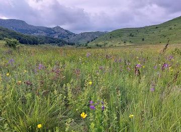 bosnia-and-herzegovina/mostar/attraction/studeni-potok