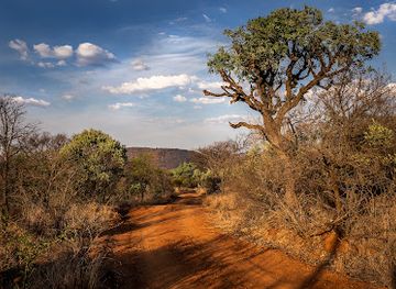 south-africa/bushveld/attraction/kudu-private-nature-reserve