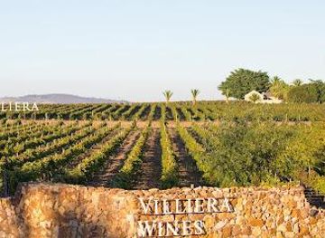 south-africa/cape-town/attraction/villiera-wines