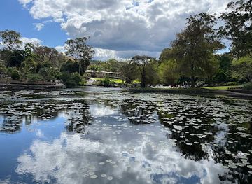 australia/brisbane/west-end/attraction/brisbane-botanic-gardens-mt-coot-tha
