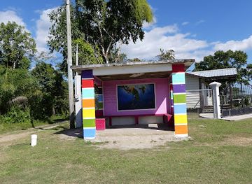 belize/southern-belize-barrier-reef/attraction/community-baboon-sanctuary-visitor-center-and-museum-a-black-howler-monkey-sanctuary