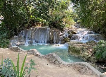 laos/luang-prabang/attraction/kuang-si-butterfly-park