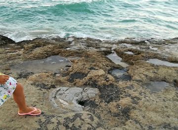 italy/apulia/attraction/scoglio-soffiante