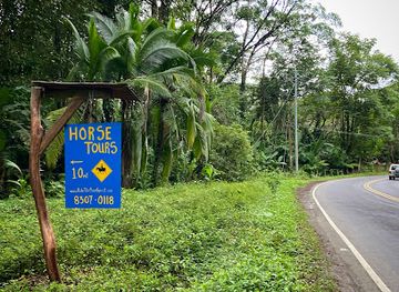 costa-rica/limon/attraction/ride-the-rainforest-costa-rica