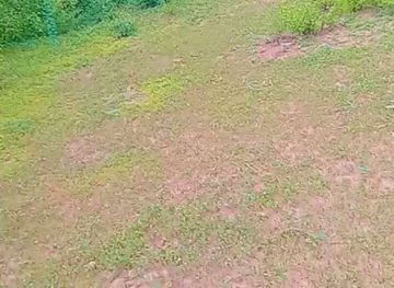 ethiopia/dire-dawa/attraction/yabalo-park