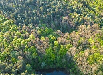 romania/hunedoara/attraction/taut