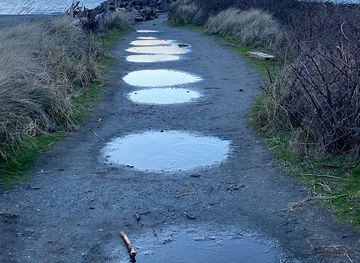 washington/puget-sound/attraction/west-point-lighthouse
