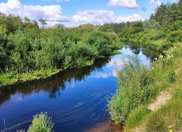 latvia/abava-river-valley/attraction/cuzu-bog-nature-trail