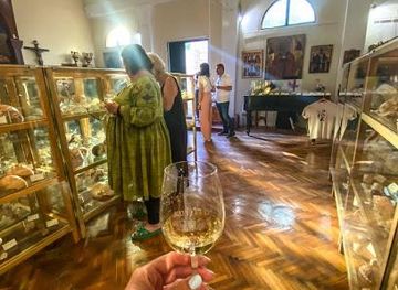 bosnia-and-herzegovina/trebinje/attraction/glossus-humanus-shell-museum-cavtat