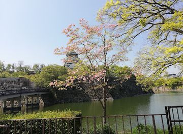 japan/osaka/attraction/forest-of-memorial-trees