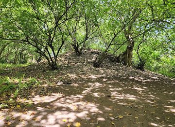 maldives/gnaviyani-atoll/attraction/bodu-havihtha-gdh-vaadhoo