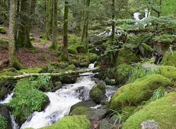 france/vosges-mountains/attraction/cascade-de-la-wormsa