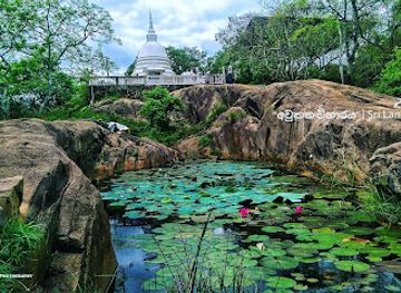 sri-lanka/cultural-triangle/attraction/avukana-buddha-statue