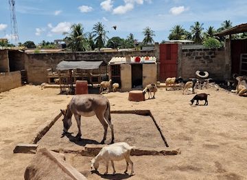 togo/koutammakou-area/attraction/fauna-cultura