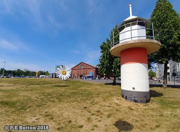 finland/turku/attraction/daisy