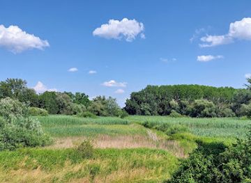hungary/gyor/attraction/madarmegfigyelo-torony