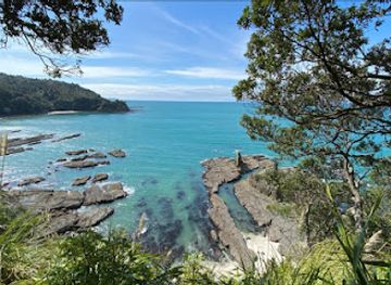 new-zealand/manawatu-wanganui/attraction/whakapapa