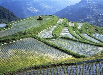 japan/shikoku-island/attraction/otoyo-yone-rice-terraces