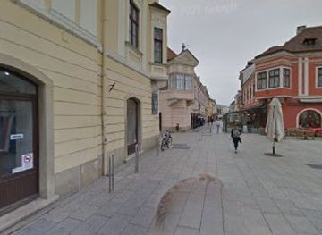 hungary/gyor/attraction/szechenyi-istvan-portre