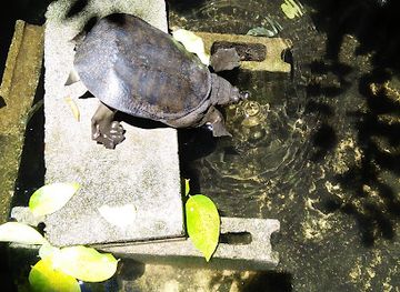 thailand/doi-inthanon-national-park/attraction/museum-of-living-city-lifestyle