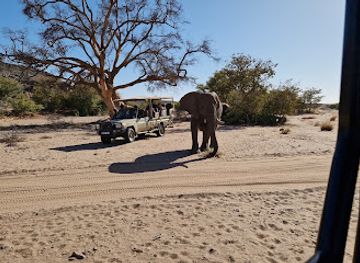 namibia/skeleton-coast/attraction/twyfelfontein-elephant-drives-campsite