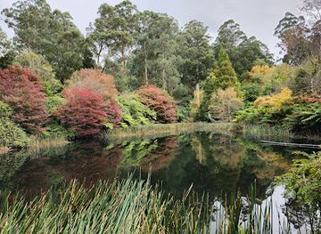 australia/yarra-valley/attraction/dandenong-ranges-botanic-garden