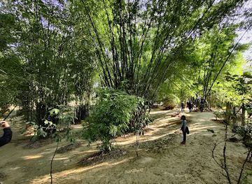 india/kaziranga-national-park/attraction/kaziranga-national-bamboo-park-durgapur-village