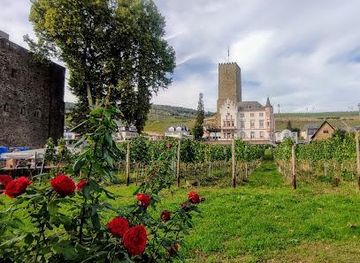 germany/koblenz/attraction/rudesheim-am-rhein