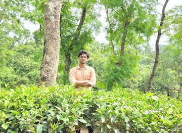 bangladesh/jaflong/attraction/jaflang-cha-bagan-botatla