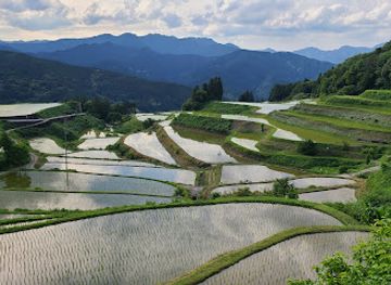 japan/shikoku-island/attraction/takasu-rice-terrace