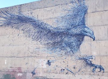 new-zealand/dunedin/attraction/dunedin-street-art-trail