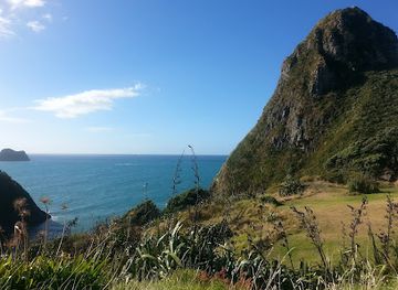 new-zealand/taranaki/attraction/paritutu-rock