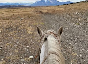 chile/magallanes-and-chilean-antarctica-region/attraction/cerro-guido