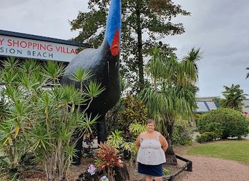 australia/southern-queensland/attraction/big-cassowary