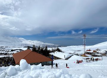 lebanon/bsharri/attraction/cedars-bsharri-ski-resort