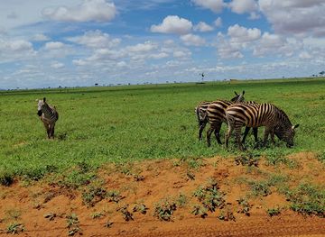 kenya/taita-hills/attraction/tzavo-safari-natural-park