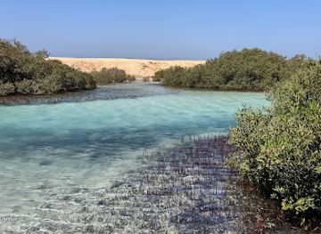 egypt/ras-muhammad-national-park/attraction/birds-observatory
