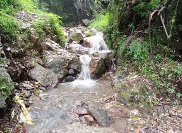 india/shimla/attraction/chaklu-water-fall
