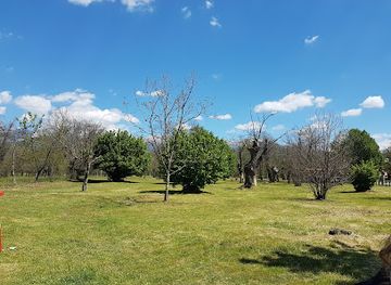 italy/lunigiana/attraction/selva-dei-castagni-di-filetto
