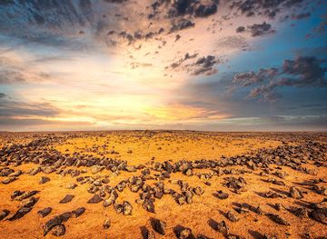 jordan/shawmari-wildlife-reserve/attraction/qasr-uweinid